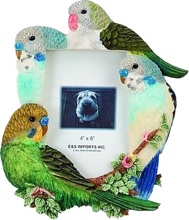 PFB Budgie Picture Frame